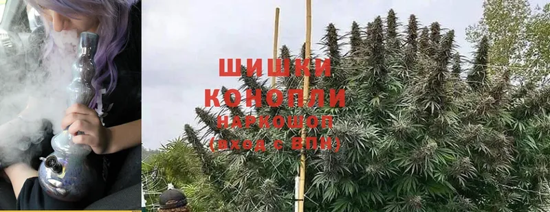 Шишки марихуана THC 21%  купить   Когалым 